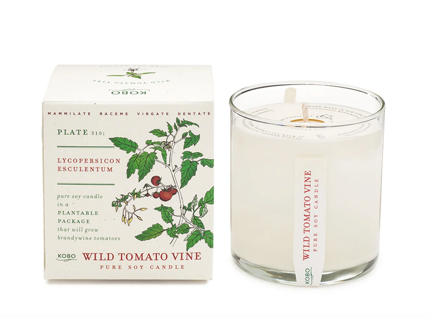 Plant the Box Pure Soy Candle in Scent Wild Tomato | Kobo
