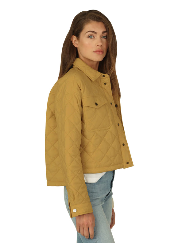 Hi Lo Ranch Jacket in Gold Rush| Dylan