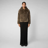 Hooded Short Reversible Coat in Mud Grey / Save the Duck