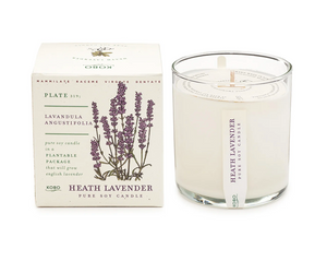 Plant the Box Pure Soy Candle in Scent Heath Lavender | Kobo