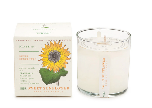 Plant the Box Pure Soy Candle in Scent Sweet Sunflower | Kobo