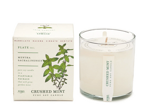 Plant the Box Pure Soy Candle in Scent Crushed Mint | Kobo