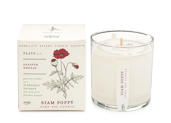 Plant the Box Pure Soy Candle in Scent Siam Poppy | Kobo